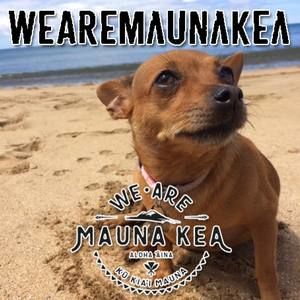 Meet your Posher, Zach